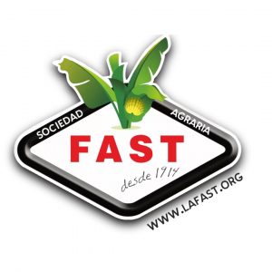 Logo LaFast para la Web
